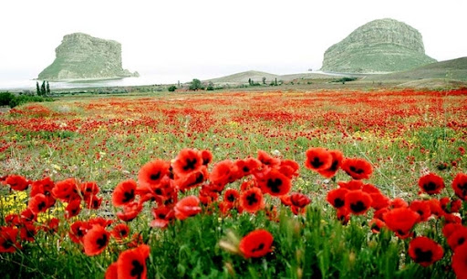 Iran Photography Rarely Seen in the West Iran Photography Rarely Seen in the West